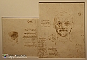 VBS_9764 - Mostra A tu per tu con Leonardo
